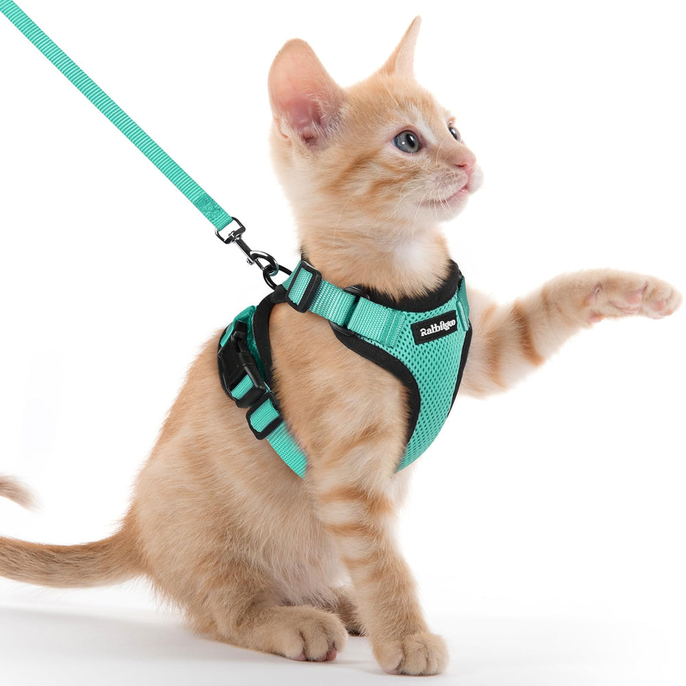 Rabbitgoo Emerald XXS harness for a secure outdoor stroll.