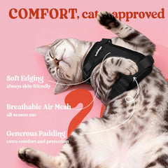 Rabbitgoo escape-proof design prevents slipping out, enhancing confidence during outdoor outings.