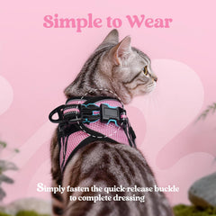 Rabbitgoo cat harness escape-proof fastener for confident exploration.