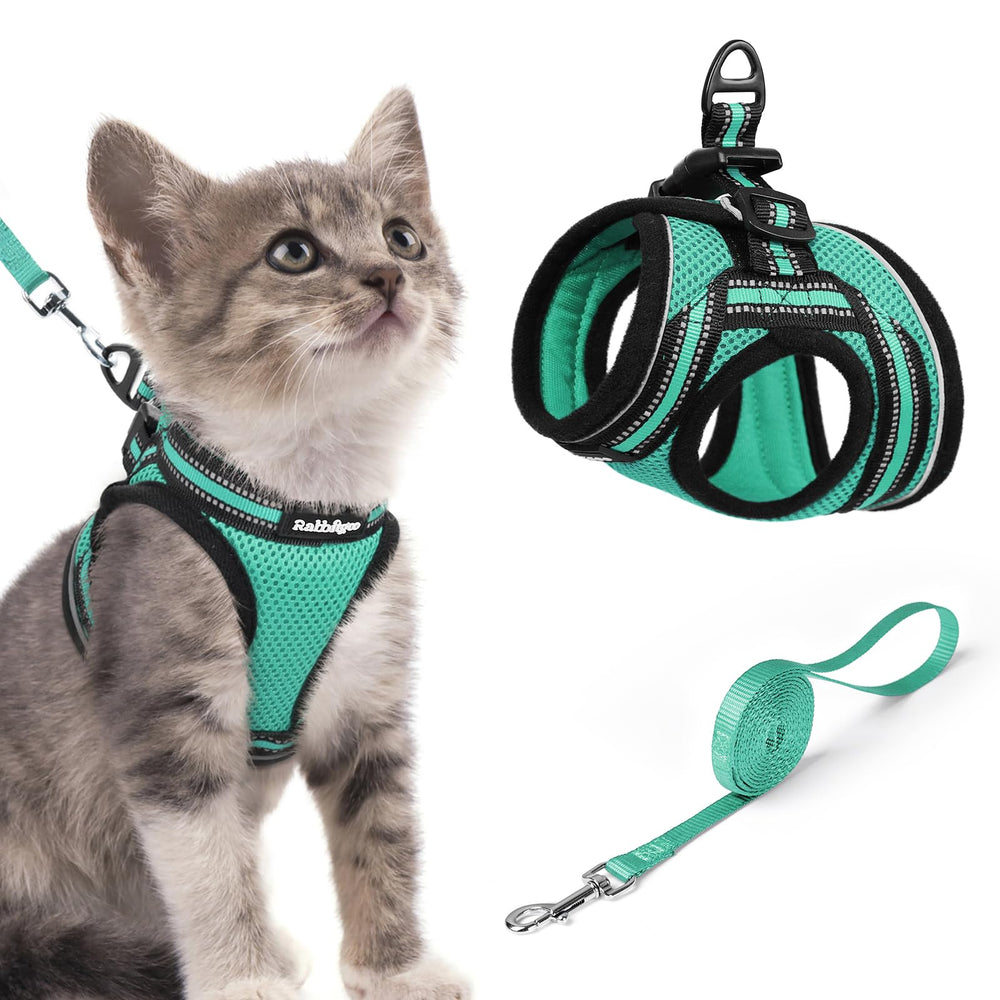 Rabbitgoo cat harness in green shows escape-proof vest for safe outdoor walks.
