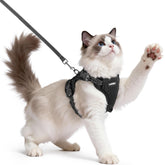 Rabbitgoo cat harness escape-proof vest in use for outdoor safety
