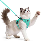 Rabbitgoo cat harness escape-proof vest for secure outdoor walks.