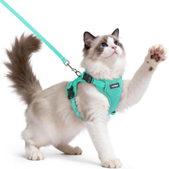 Rabbitgoo cat harness escape-proof vest for secure outdoor walks.