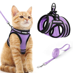 Rabbitgoo cat harness escape-proof design for safer outdoor walks