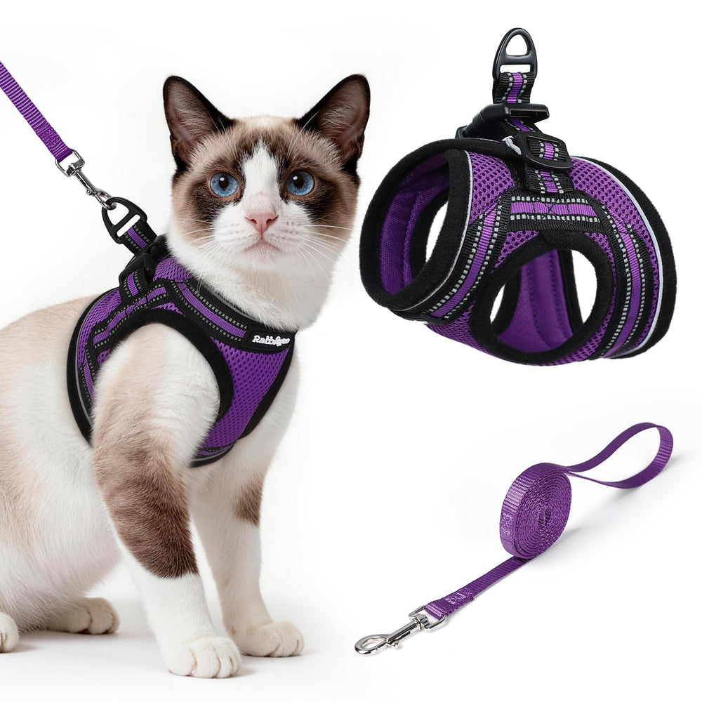 Rabbitgoo cat harness escape-proof design for safe outdoor exploration.