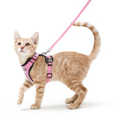 Rabbitgoo cat harness front view pink for secure outdoor walks.