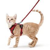 Rabbitgoo cat harness front view showing escape-proof design and reflective visibility.