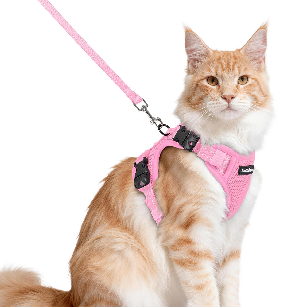 Rabbitgoo cat harness and leash in escape-proof vest designed for safe outdoor walks