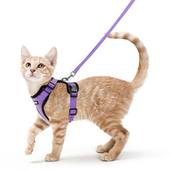 Rabbitgoo cat harness and leash set on cat for safe outdoor walks