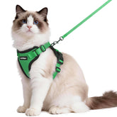 Rabbitgoo cat harness overhead setup for quick on-and-off adventures