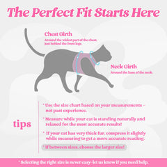 Rabbitgoo cat harness back view showing secure fit and adjustability.