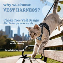 Rabbitgoo cat harness reflective strips boost visibility in low light.