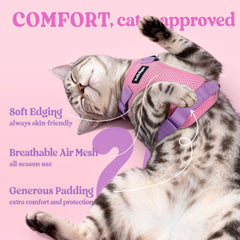 Rabbitgoo reinforced back D-ring provides reliable control during leashed adventures