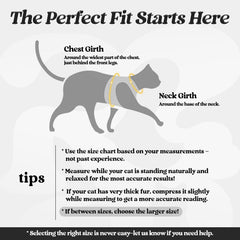 Rabbitgoo cat harness soft air-mesh padding for comfortable daily strolls.