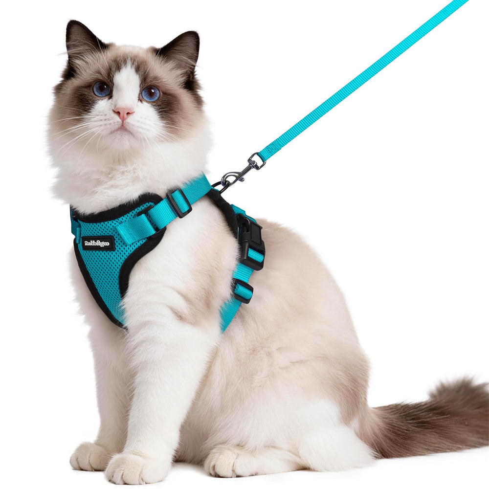 Rabbitgoo cat harness front view shows a secure, escape-proof fit for curious felines.