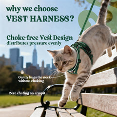 Rabbitgoo vest design reduces leash pressure for a smoother stroll.