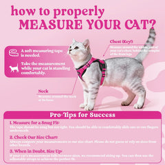 Rabbitgoo vest-design cat harness made of soft air-mesh for breathable comfort.