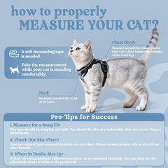 Rabbitgoo cat harness vest-design provides breathable comfort and secure fit.