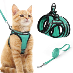 Rabbitgoo escape-proof cat harness vest used outdoors for secure walking.