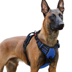Rabbitgoo dog harness with three buckles in blue for XL breeds, secure fit.