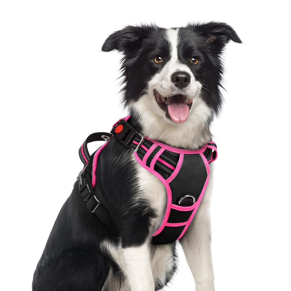Rabbitgoo dog harness with three buckles for quick on-off and secure control on walks.