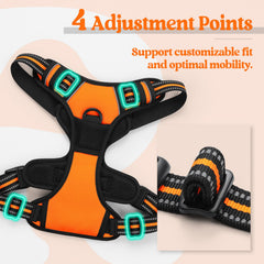 Rabbitgoo 4-strap adjustable fit prevents escape and chafing.