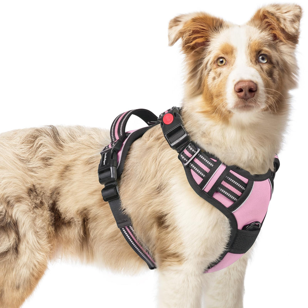 Rabbitgoo dog harness adjustable padded pink M—secure fit for daily walks.