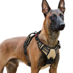 Rabbitgoo dog harness with adjustable straps for a snug, flexible fit.