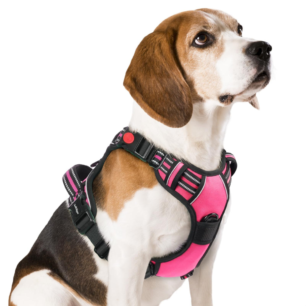 Rabbitgoo dog harness adjustable straps enable secure, long-lasting comfort for growing dogs.