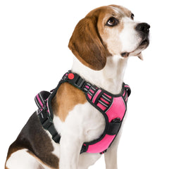 Rabbitgoo dog harness adjustable straps enable secure, long-lasting comfort for growing dogs.