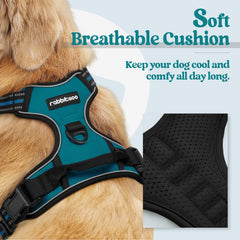 Rabbitgoo harness back clip for casual walks and smooth handling