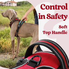 Rabbitgoo breathable air mesh keeps dogs cool on long strolls.