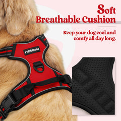 Rabbitgoo dog harness with dual leash clips enables safer control during walks