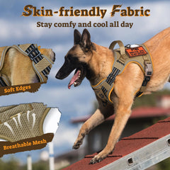 Rabbitgoo no-pull harness front clip enables controlled walking without pulling.