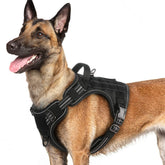 Rabbitgoo dog harness front view with no-pull front clip.