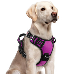 Rabbitgoo large dog harness with three buckles for quick on-off control.