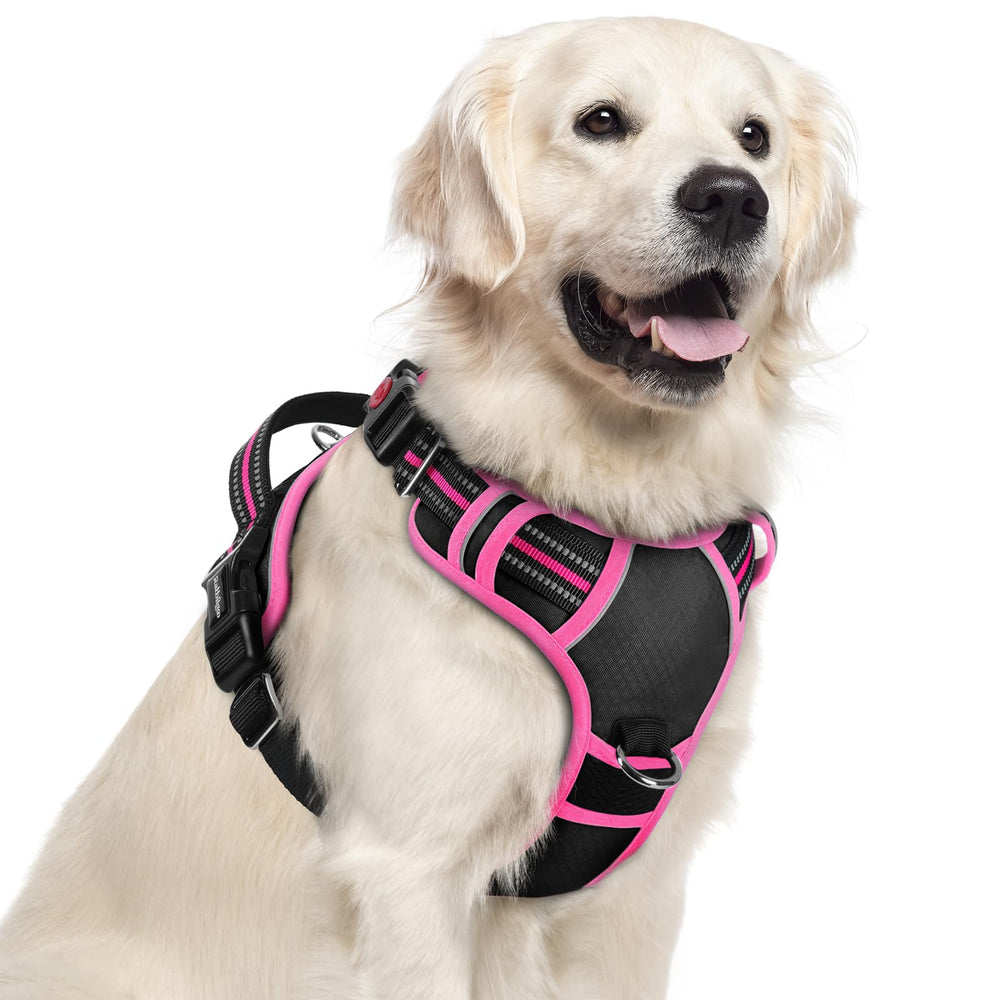 Rabbitgoo large dog harness with no-pull design for comfortable walks.