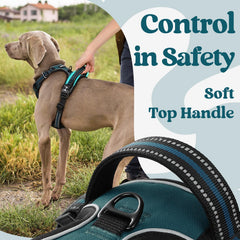 Rabbitgoo reflective stitching enhances nighttime visibility during walks.