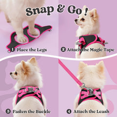 Rabbitgoo harness M breathable mesh keeps dogs cool during walks.