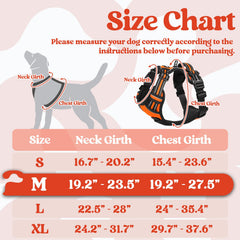 Rabbitgoo harness adjustable straps enable a snug, growth-ready fit during daily walks.