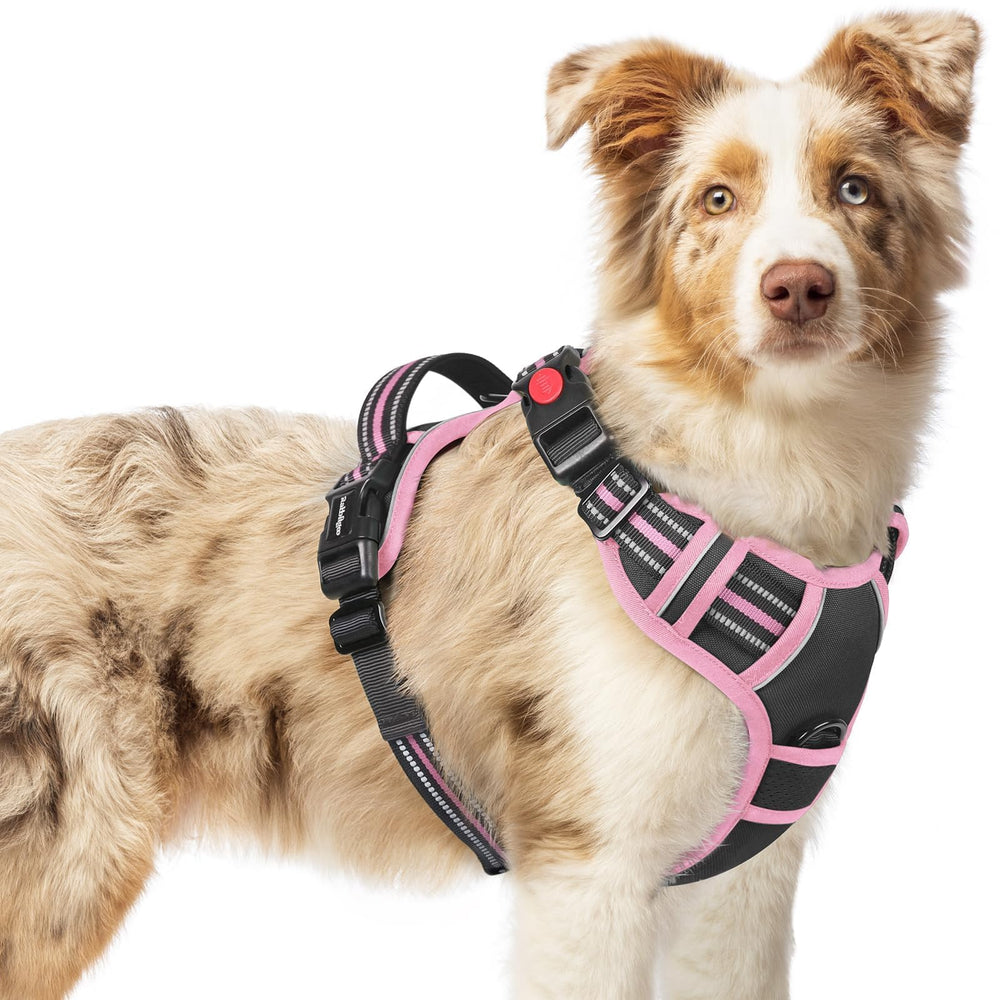 Rabbitgoo dog harness medium shows adjustable straps for a secure, comfortable fit.