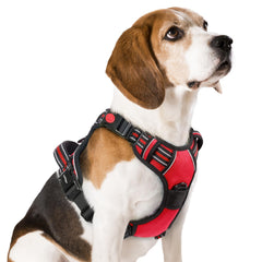 Rabbitgoo dog harness medium front view for secure, comfortable walks.