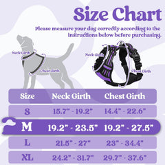 Rabbitgoo no-pull design helps guide you during walks.