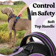 Rabbitgoo reflective stitching enhances visibility during evening walks.