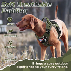 Rabbitgoo harness with Molle system on side panels for gear.