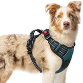 Rabbitgoo dog harness no-pull with 3 buckles for easy on/off during walks