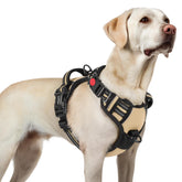 Rabbitgoo dog harness with no-pull 3-buckle design for easy daily on-off