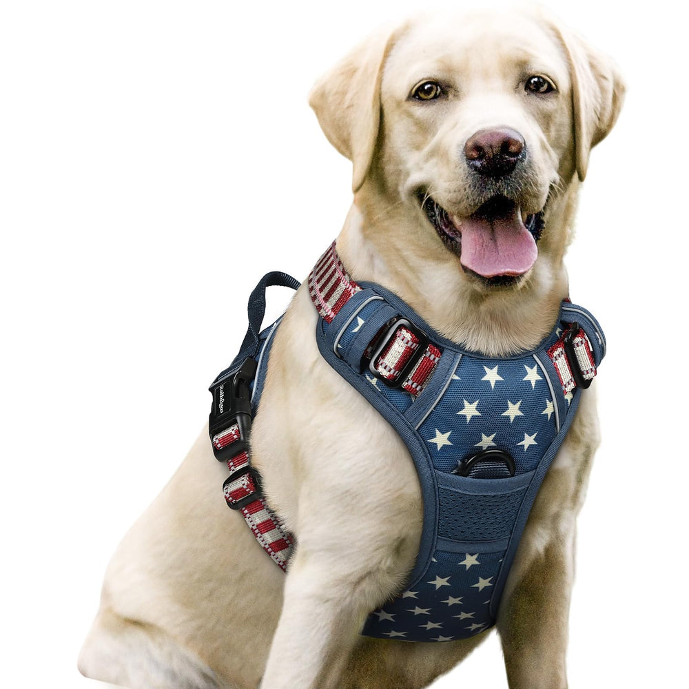 rabbitgoo no-pull harness blue star front view showing safe control