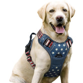 rabbitgoo no-pull harness blue star front view showing safe control