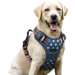 rabbitgoo no-pull harness blue star front view showing safe control